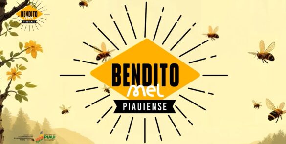 O Ouro do Sertão: Como o Mel Piauiense Transformou Vidas e Conquistou o Mundo