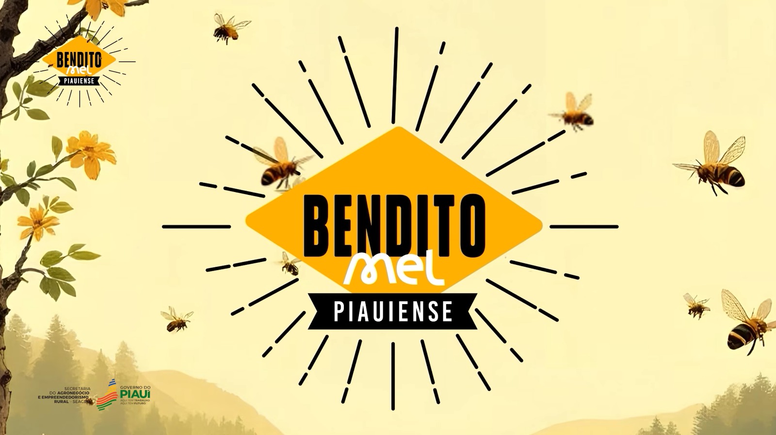 O Ouro do Sertão: Como o Mel Piauiense Transformou Vidas e Conquistou o Mundo