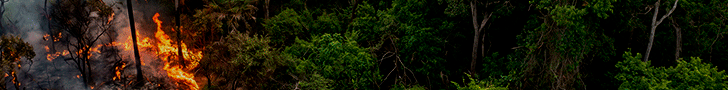 BANNER-QUEIMADAS--728-x90